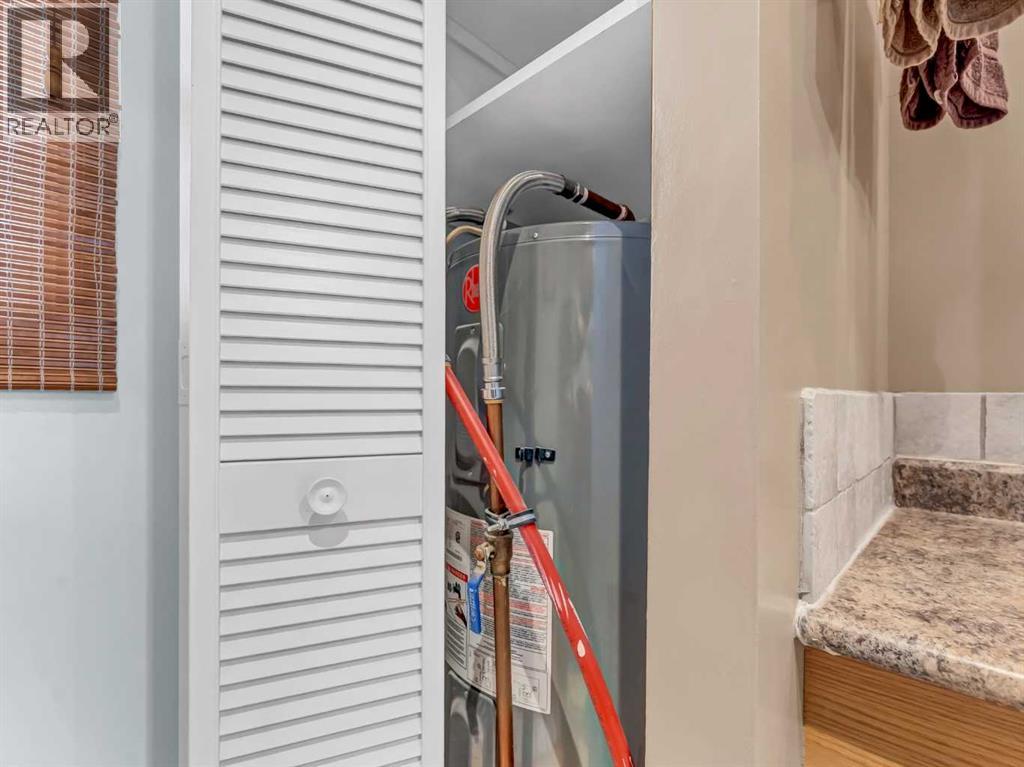 220 Fairchild Street Sw, Medicine Hat, Alberta  T1A 7Z7 - Photo 26 - A2285254