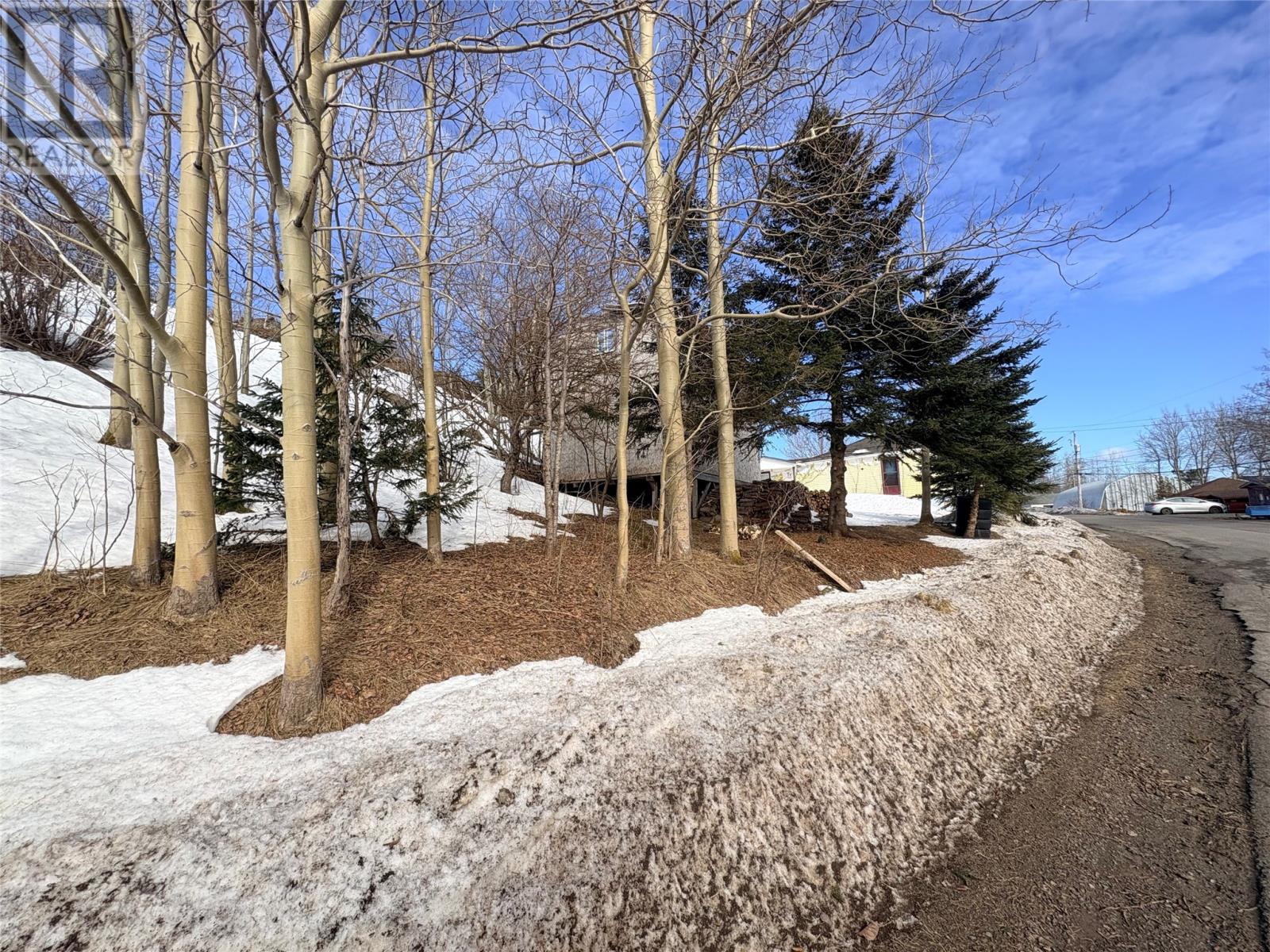 35 Water Street, Embree, Newfoundland & Labrador  A0G 2A0 - Photo 3 - 1295388