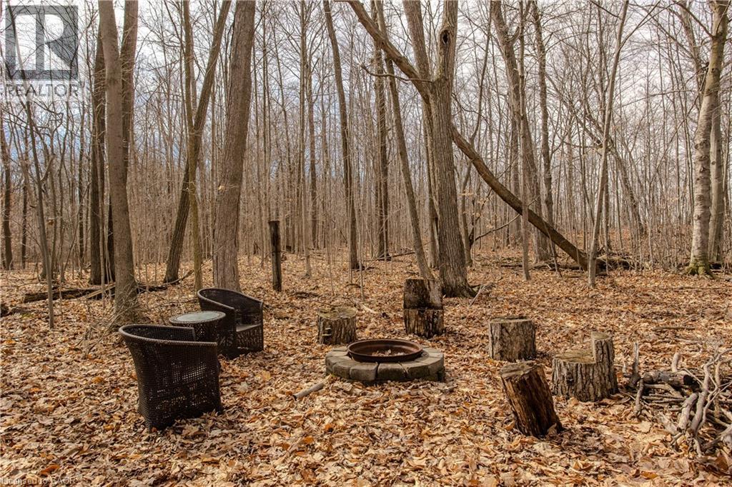 4375 Hall Road, Binbrook, Ontario  L0R 1C0 - Photo 31 - 40814147