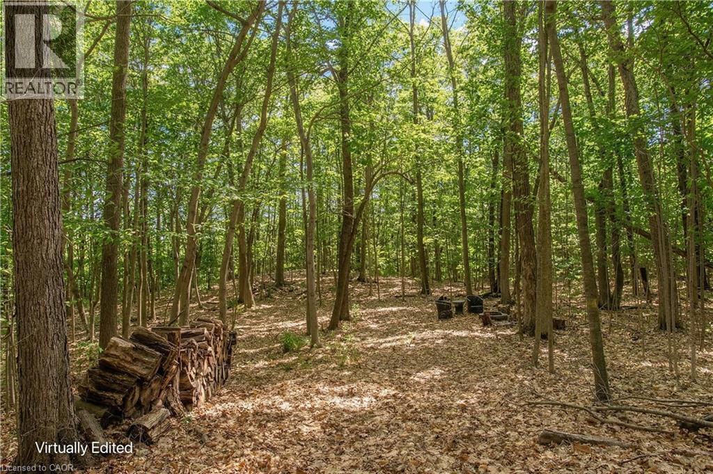 4375 Hall Road, Binbrook, Ontario  L0R 1C0 - Photo 6 - 40814147