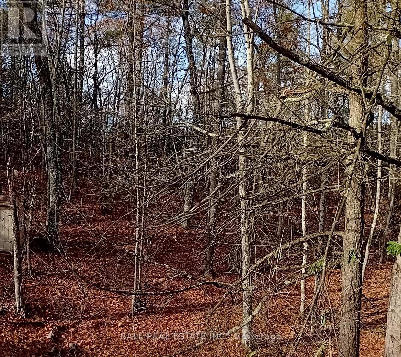 Sub Lot B - 206 A Kehoe Lane, Tweed, Ontario  K0K 3J0 - Photo 17 - X12910854