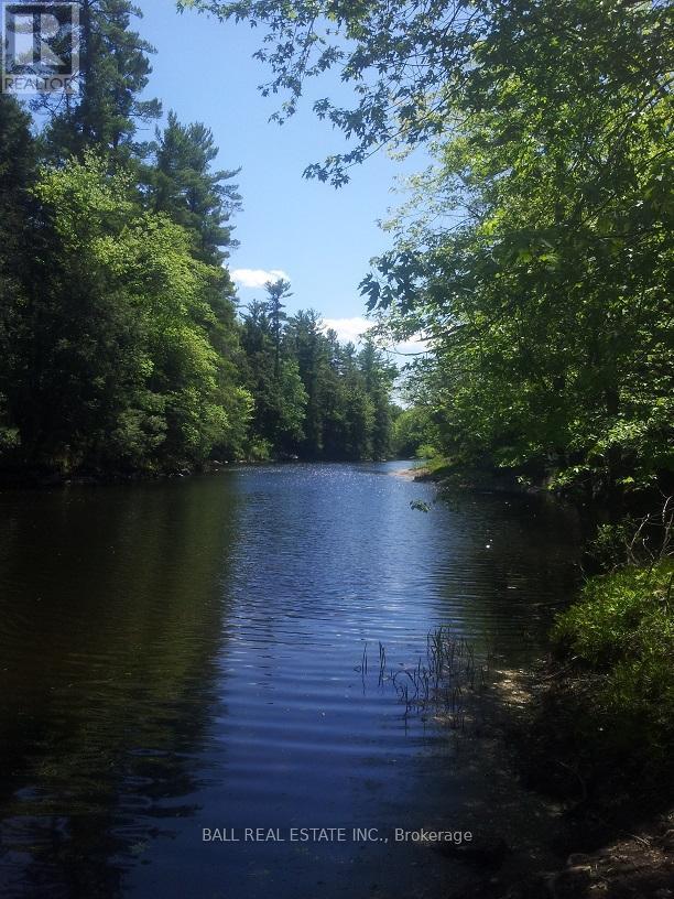 Sub Lot B - 206 A Kehoe Lane, Tweed, Ontario  K0K 3J0 - Photo 20 - X12910854