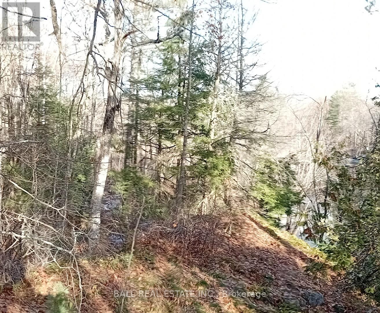 Sub Lot B - 206 A Kehoe Lane, Tweed, Ontario  K0K 3J0 - Photo 21 - X12910854