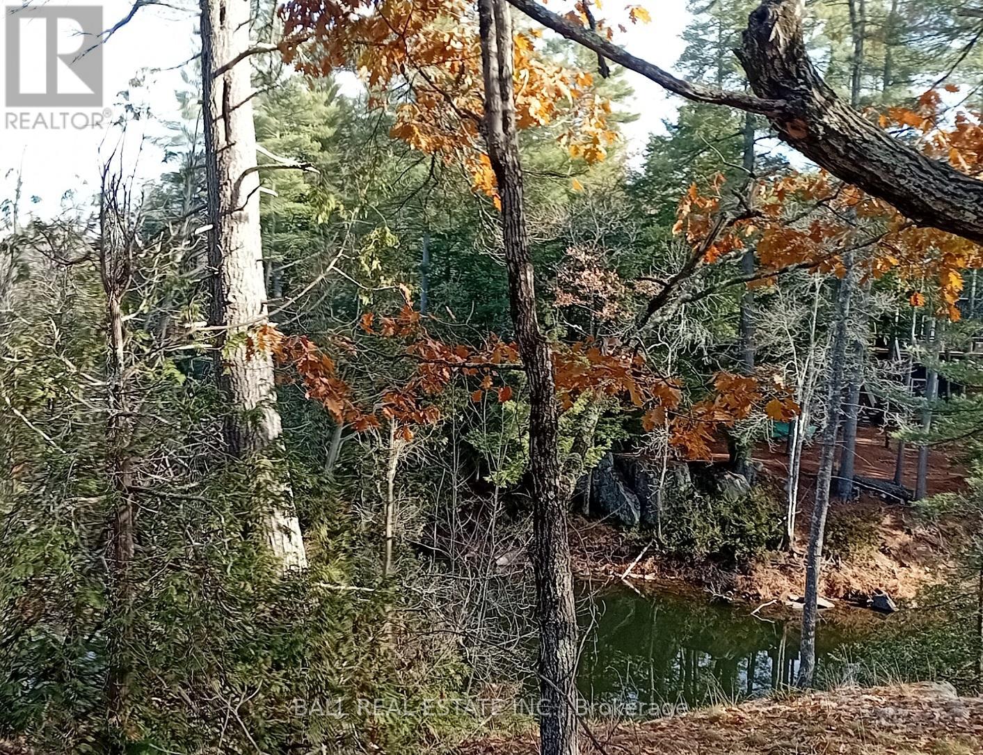 Sub Lot B - 206 A Kehoe Lane, Tweed, Ontario  K0K 3J0 - Photo 22 - X12910854