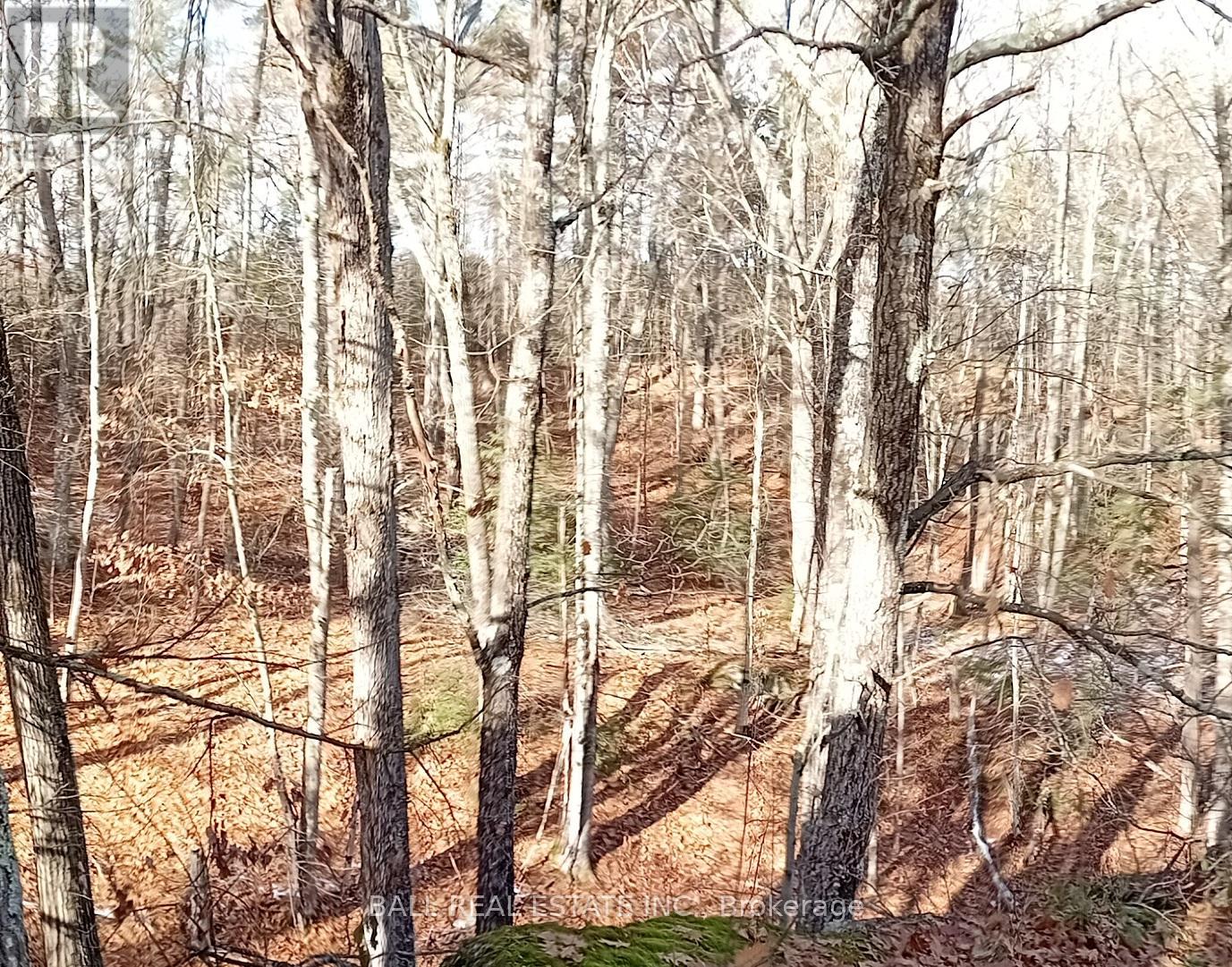 Sub Lot B - 206 A Kehoe Lane, Tweed, Ontario  K0K 3J0 - Photo 23 - X12910854