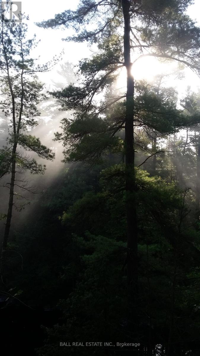 Sub Lot B - 206 A Kehoe Lane, Tweed, Ontario  K0K 3J0 - Photo 25 - X12910854