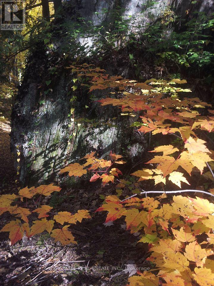 Sub Lot B - 206 A Kehoe Lane, Tweed, Ontario  K0K 3J0 - Photo 26 - X12910854