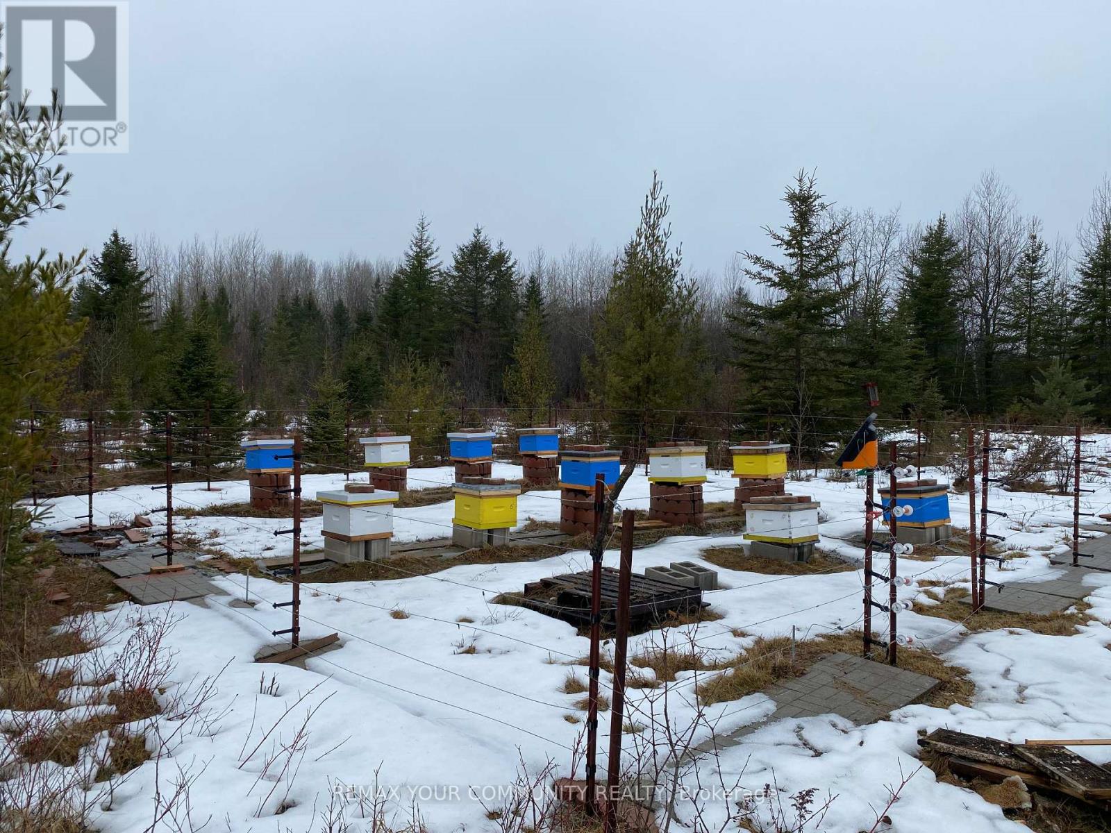 31750 Simcoe Street, Brock (Beaverton), Ontario  L0K 1A0 - Photo 10 - N12910900