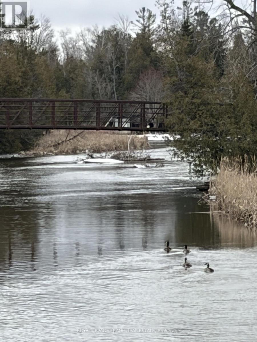 0 Pinecrest Road, Georgina, Ontario  L0E 1N0 - Photo 6 - N12910778