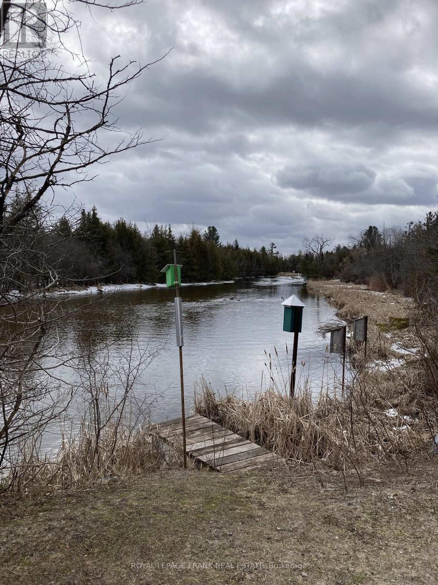 0 Pinecrest Road, Georgina, Ontario  L0E 1N0 - Photo 9 - N12910778