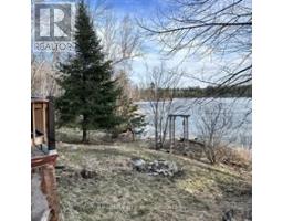 297 NICKEL LAKE SHORES ROAD, Rainy River, Ontario