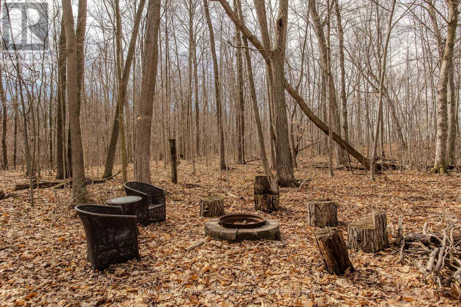 4375 Hall Road, Hamilton, Ontario  L0R 1C0 - Photo 32 - X12911052