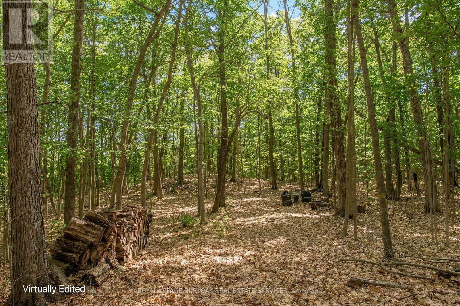 4375 Hall Road, Hamilton, Ontario  L0R 1C0 - Photo 6 - X12911052