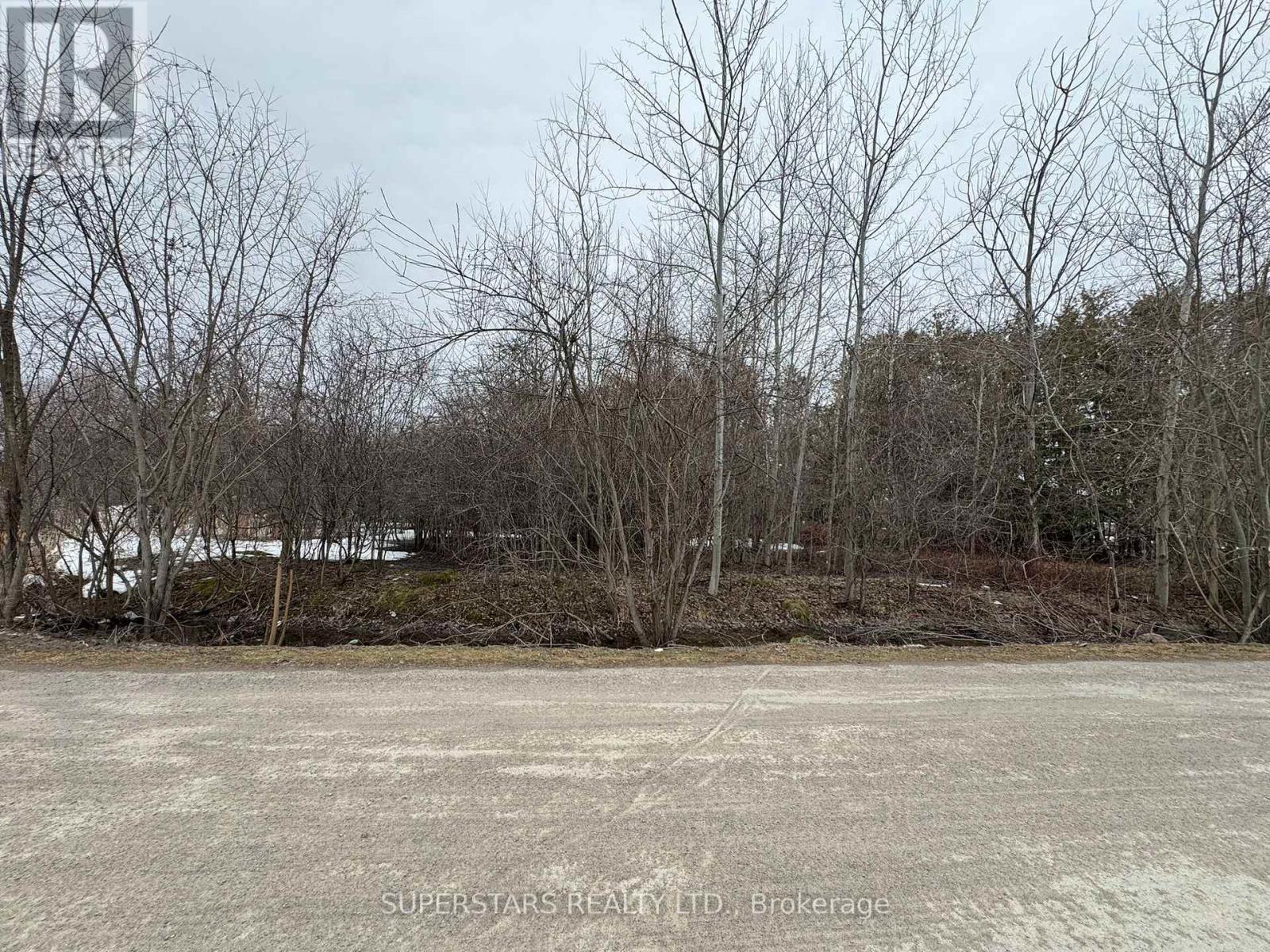 Lot 32 Twmarc Avenue, Brock, Ontario  L0K 1A0 - Photo 3 - N12888766