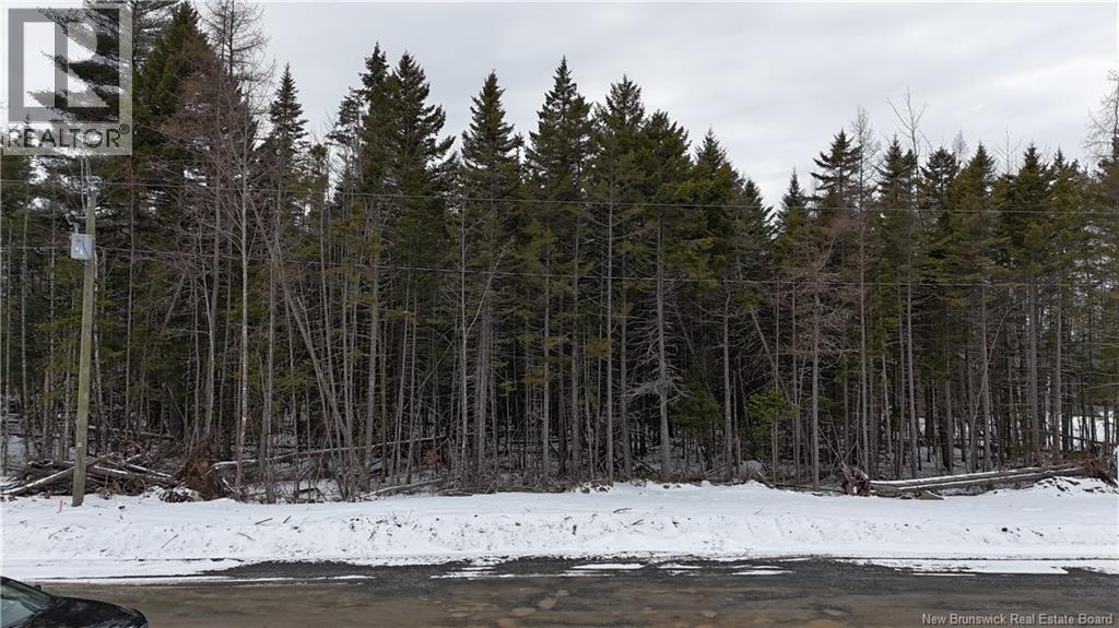 LOT 2024-20 EAGLES Lane, Killarney Road, New Brunswick