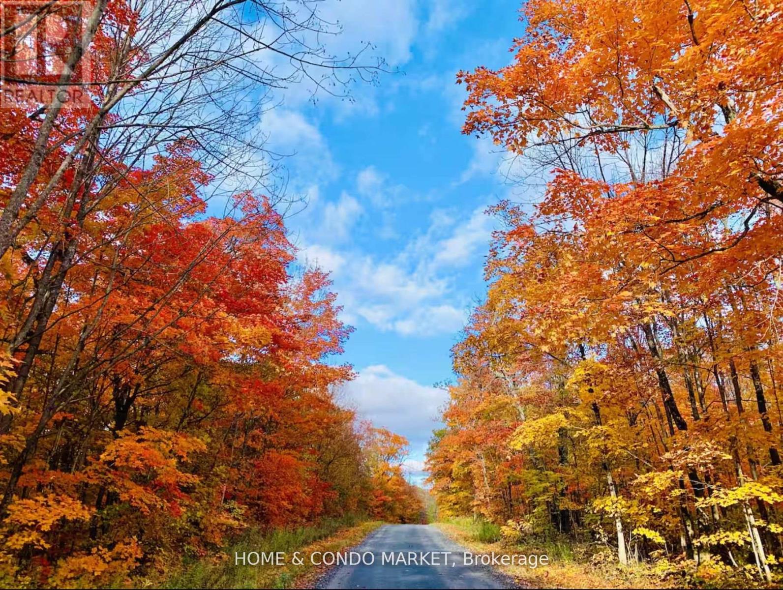 14 Charles Avenue, Mckellar, Ontario  P2A 0B4 - Photo 48 - X12911270