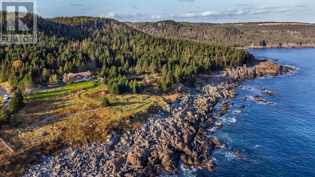 40 Cribbies Road, Tors Cove, Newfoundland & Labrador