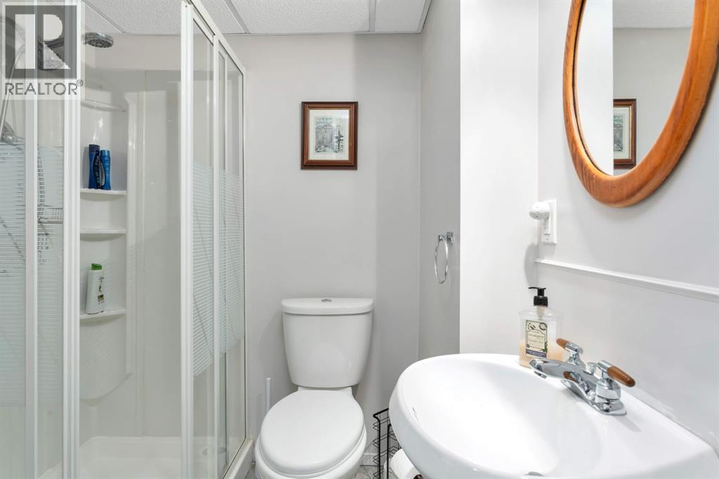 35 Ferrier Drive, Rural Clearwater County, Alberta  T4T 2A4 - Photo 34 - A2293431