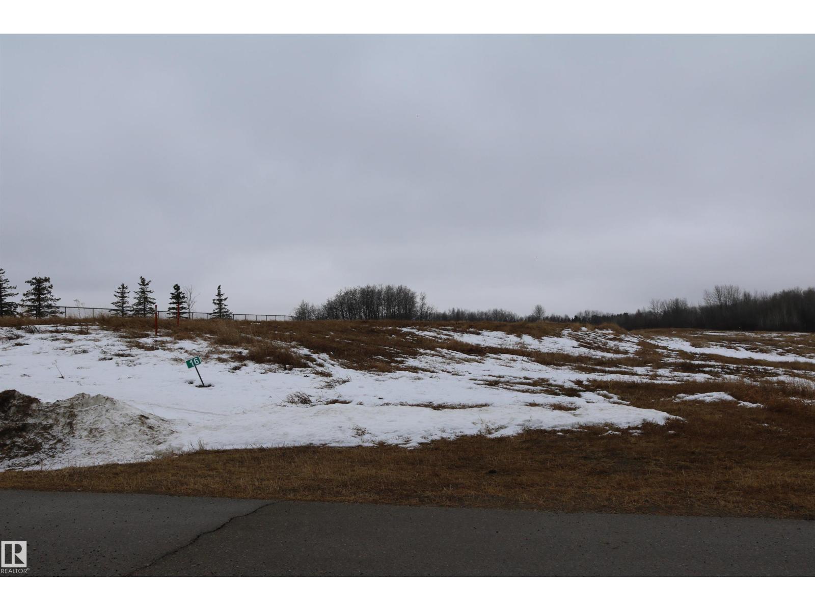 #16 51109 Rge Road 271, Rural Parkland County, Alberta  T7Y 1G7 - Photo 7 - E4478468