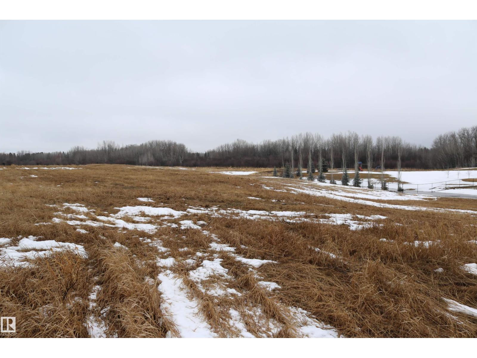 #16 51109 Rge Road 271, Rural Parkland County, Alberta  T7Y 1G7 - Photo 4 - E4478468