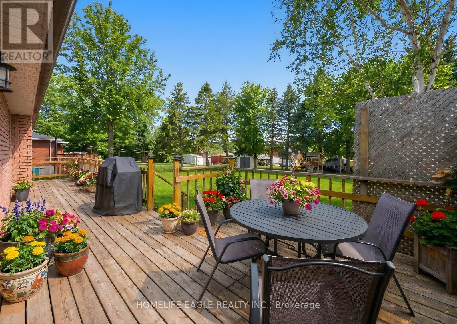 40 Wales Avenue N, Adjala-Tosorontio, Ontario  L0M 1J0 - Photo 16 - N12900502