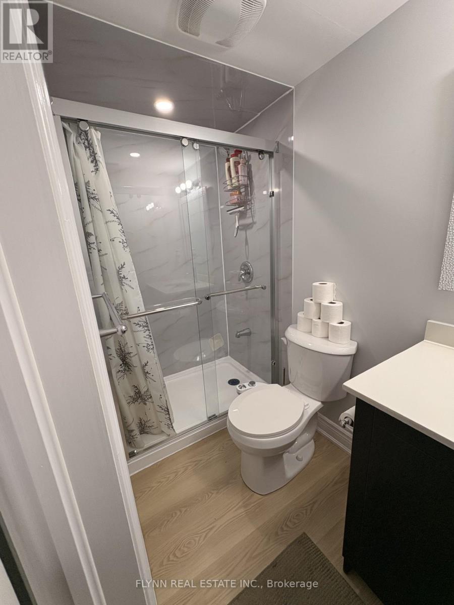 Basement - 454 Acumen Court, Mississauga, Ontario  L5W 0E2 - Photo 6 - W12911448