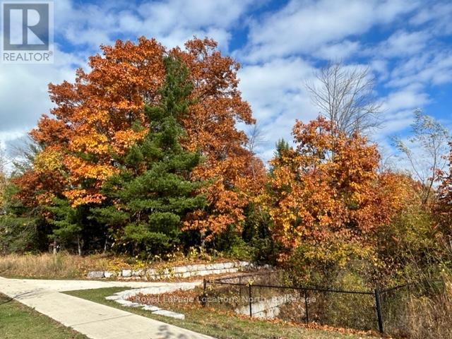 10 Little River Crossing, Wasaga Beach, Ontario L9Z 0J8 - Photo 33 - S12911666