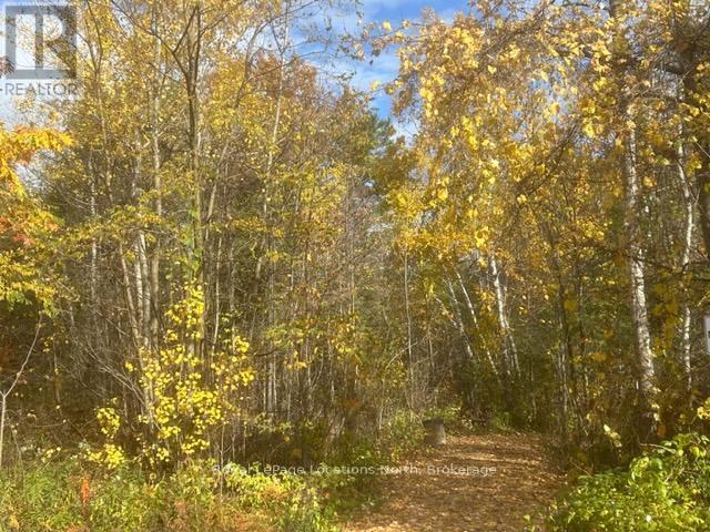 10 Little River Crossing, Wasaga Beach, Ontario L9Z 0J8 - Photo 35 - S12911666