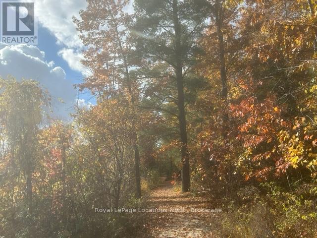 10 Little River Crossing, Wasaga Beach, Ontario L9Z 0J8 - Photo 37 - S12911666