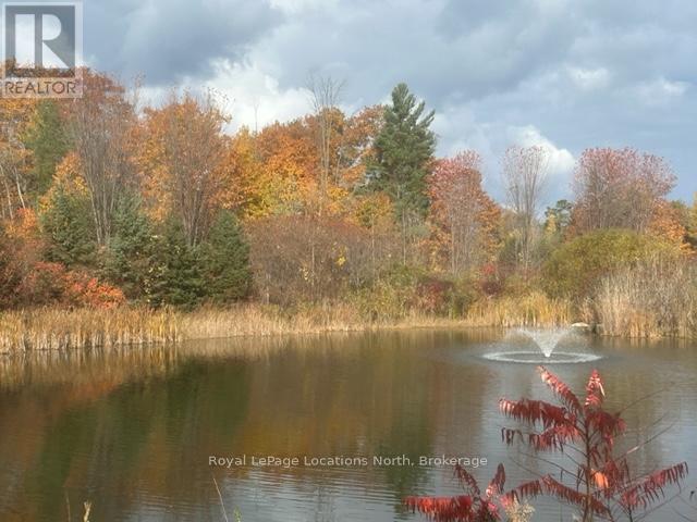 10 Little River Crossing, Wasaga Beach, Ontario L9Z 0J8 - Photo 43 - S12911666