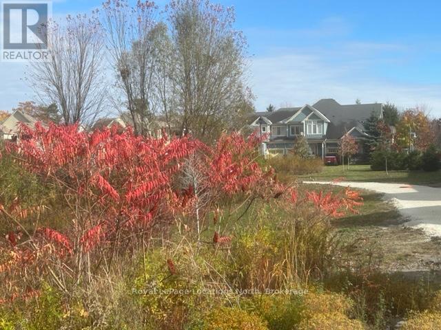 10 Little River Crossing, Wasaga Beach, Ontario L9Z 0J8 - Photo 45 - S12911666