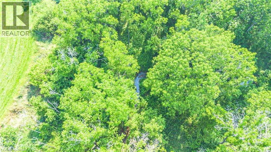 Pt Lt 15 Con 3 Norfolk County Road 19, Wilsonville, Ontario  N0E 1Z0 - Photo 8 - 40813150