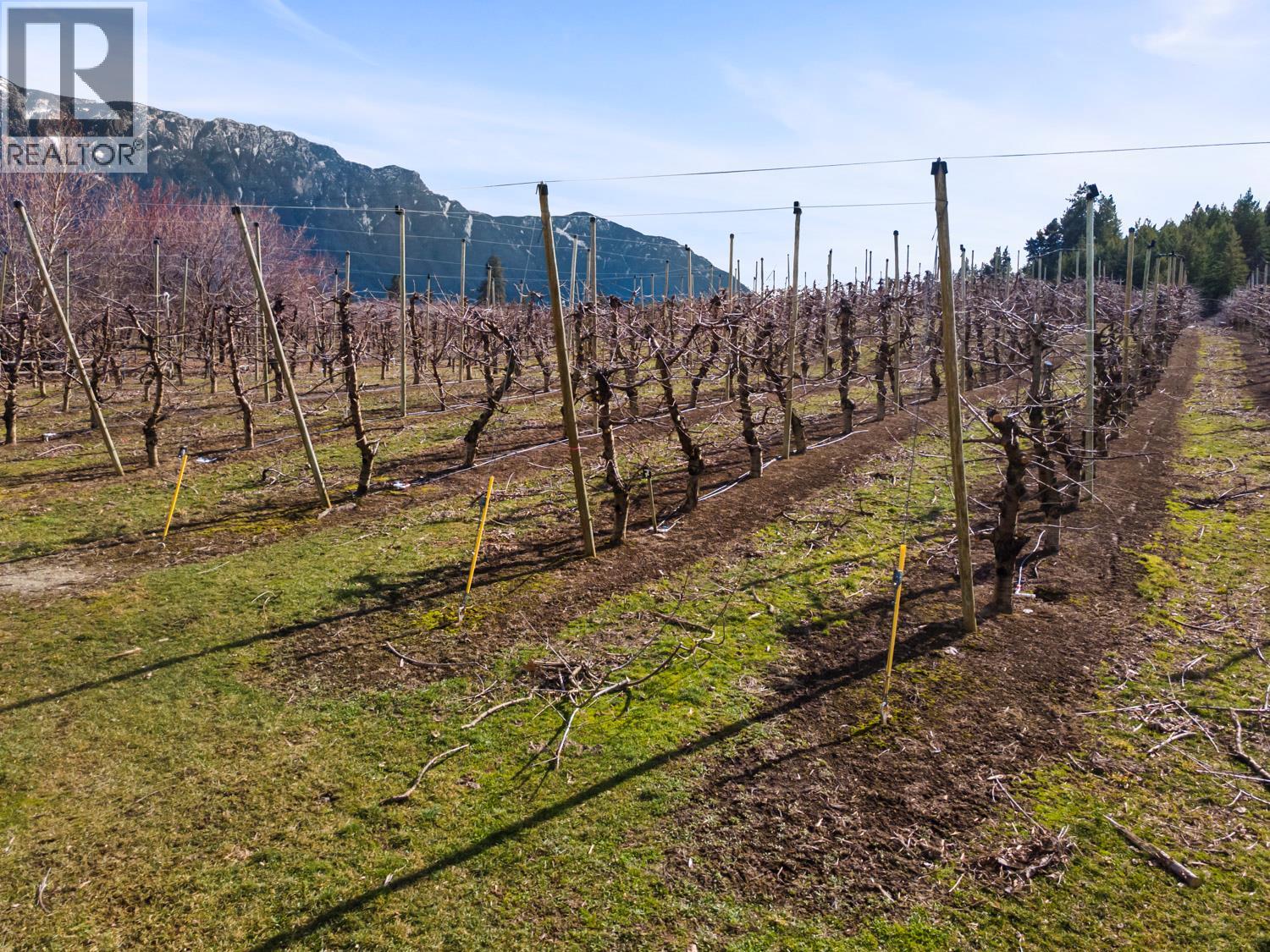 3029 Erickson Road, Erickson, British Columbia V0B 1G1 - Photo 22 - 10378840