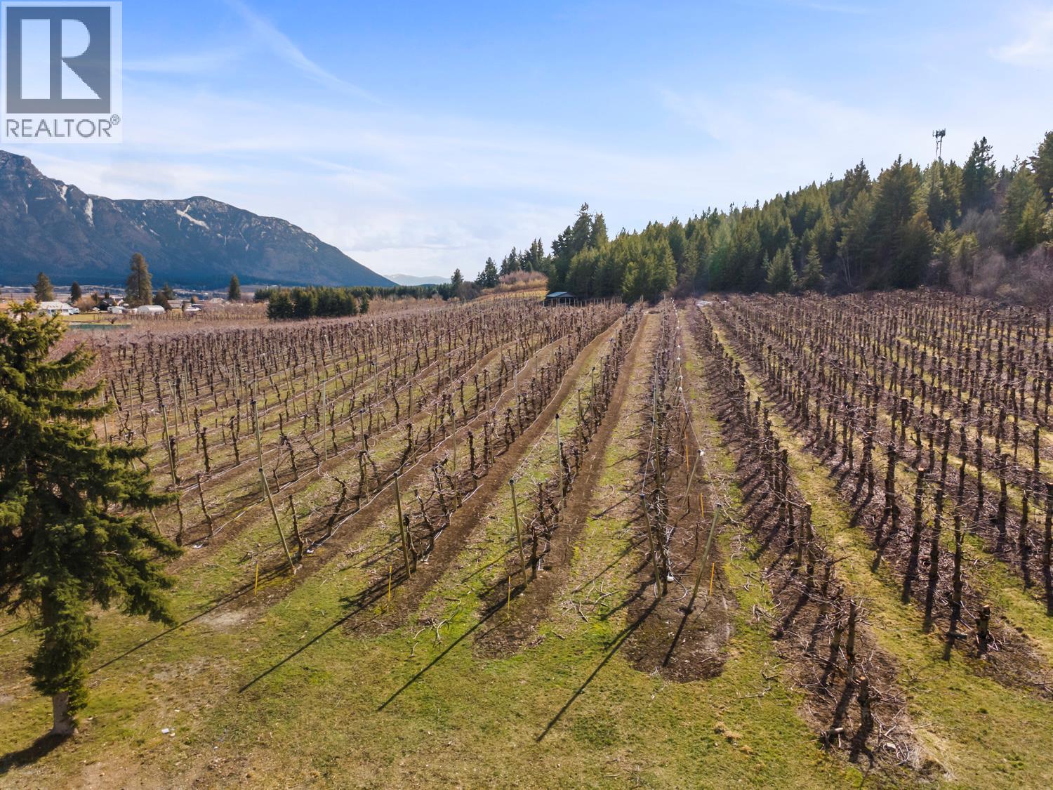 3029 Erickson Road, Erickson, British Columbia V0B 1G1 - Photo 3 - 10378840