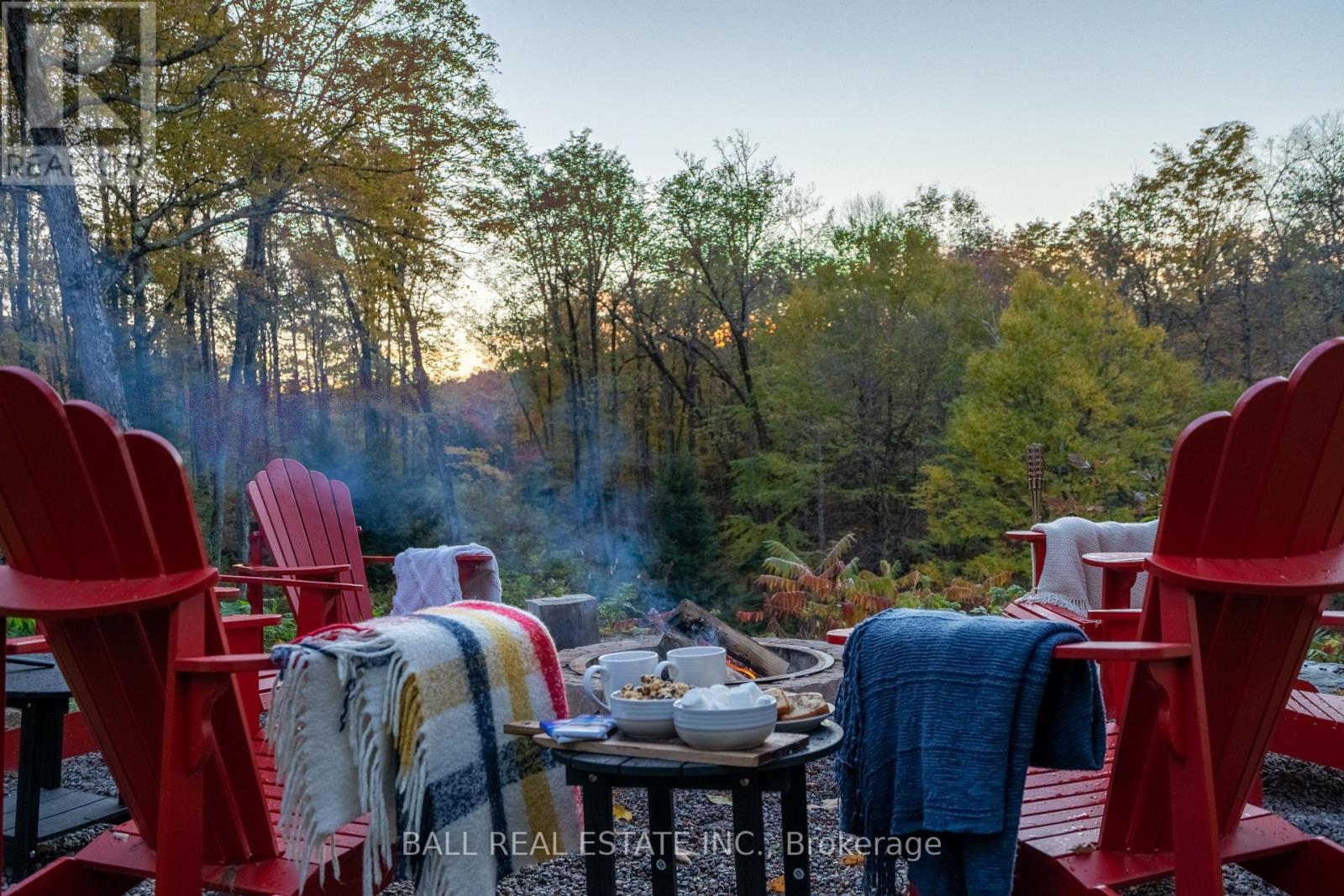 4107 County Rd 507, Trent Lakes, Ontario  K0L 1J0 - Photo 34 - X12911790