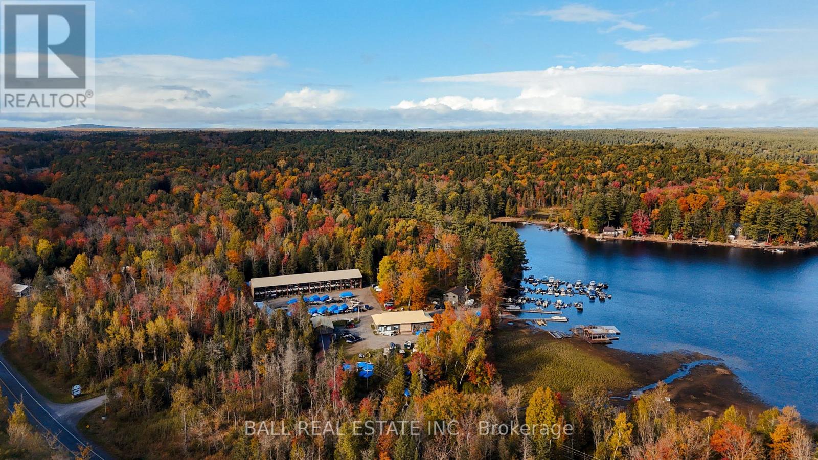 4107 County Rd 507, Trent Lakes, Ontario  K0L 1J0 - Photo 37 - X12911790