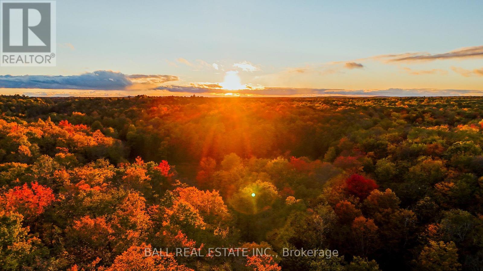 4107 County Rd 507, Trent Lakes, Ontario  K0L 1J0 - Photo 38 - X12911790