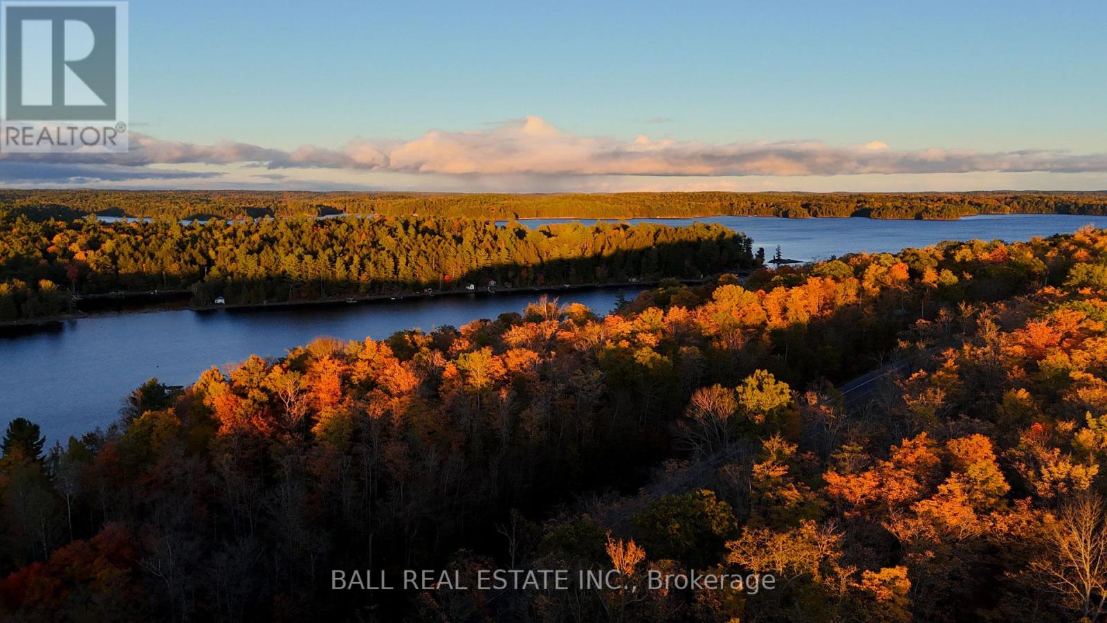 4107 County Rd 507, Trent Lakes, Ontario  K0L 1J0 - Photo 39 - X12911790