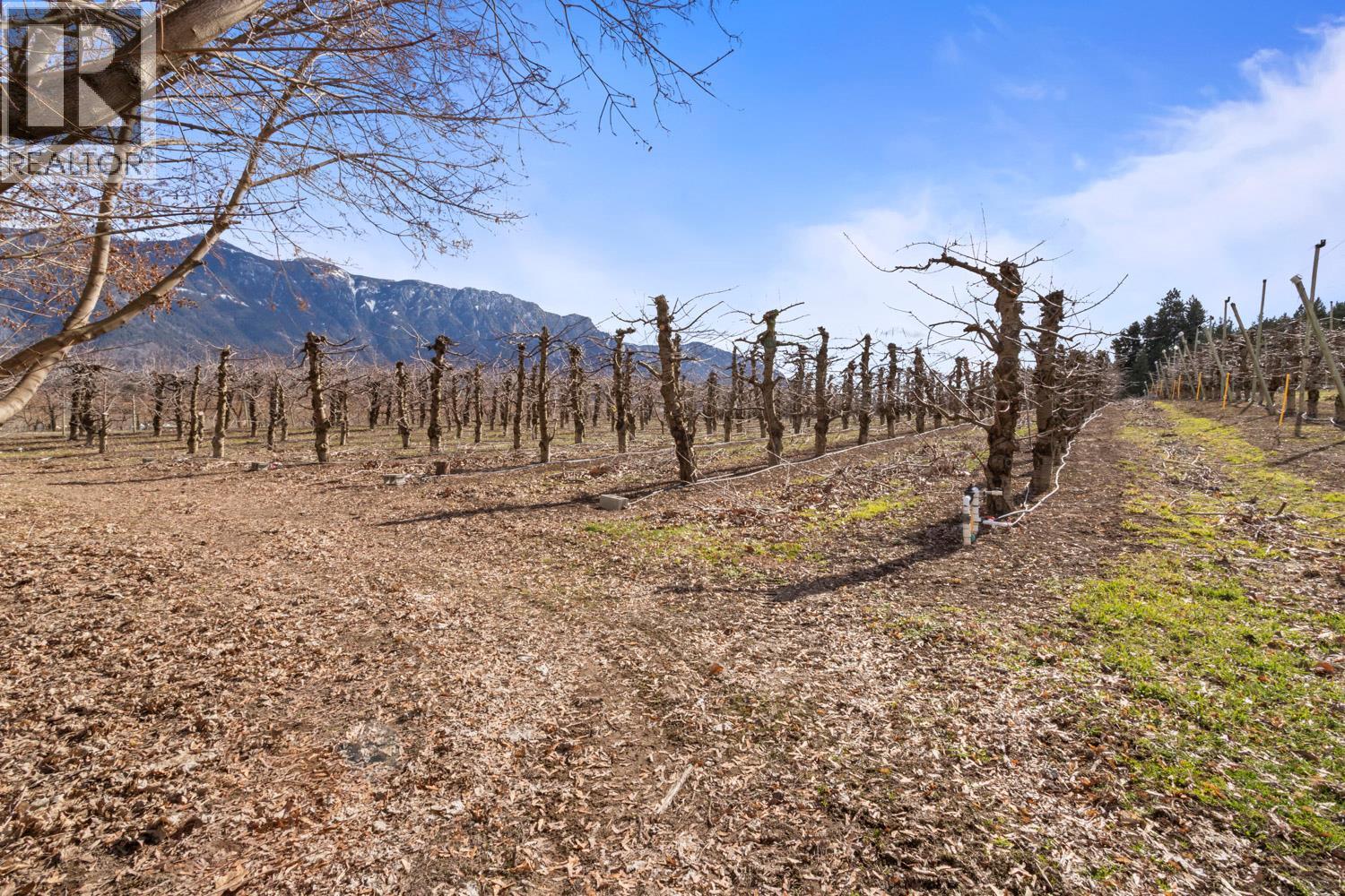 3037 Erickson Road, Erickson, British Columbia  V0B 1G1 - Photo 22 - 10378844