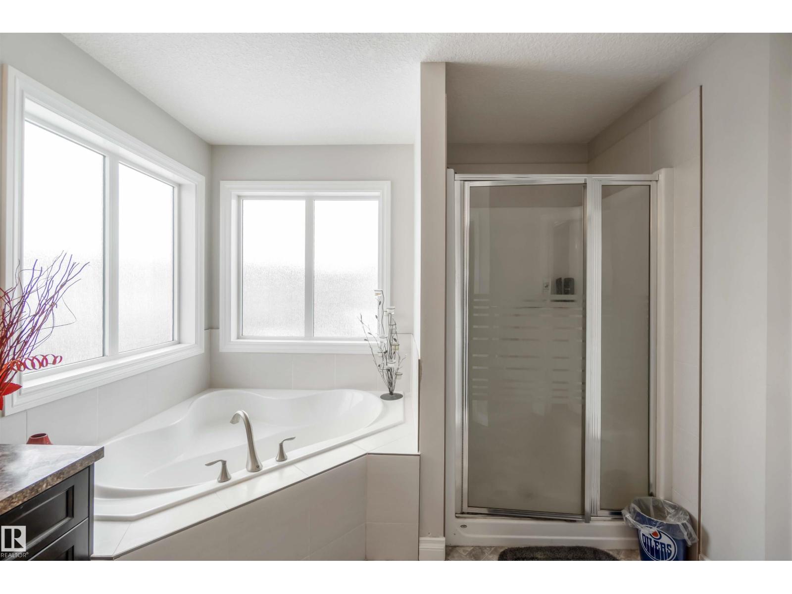 12232 167b Av Nw, Edmonton, Alberta  T5X 0G7 - Photo 43 - E4478732