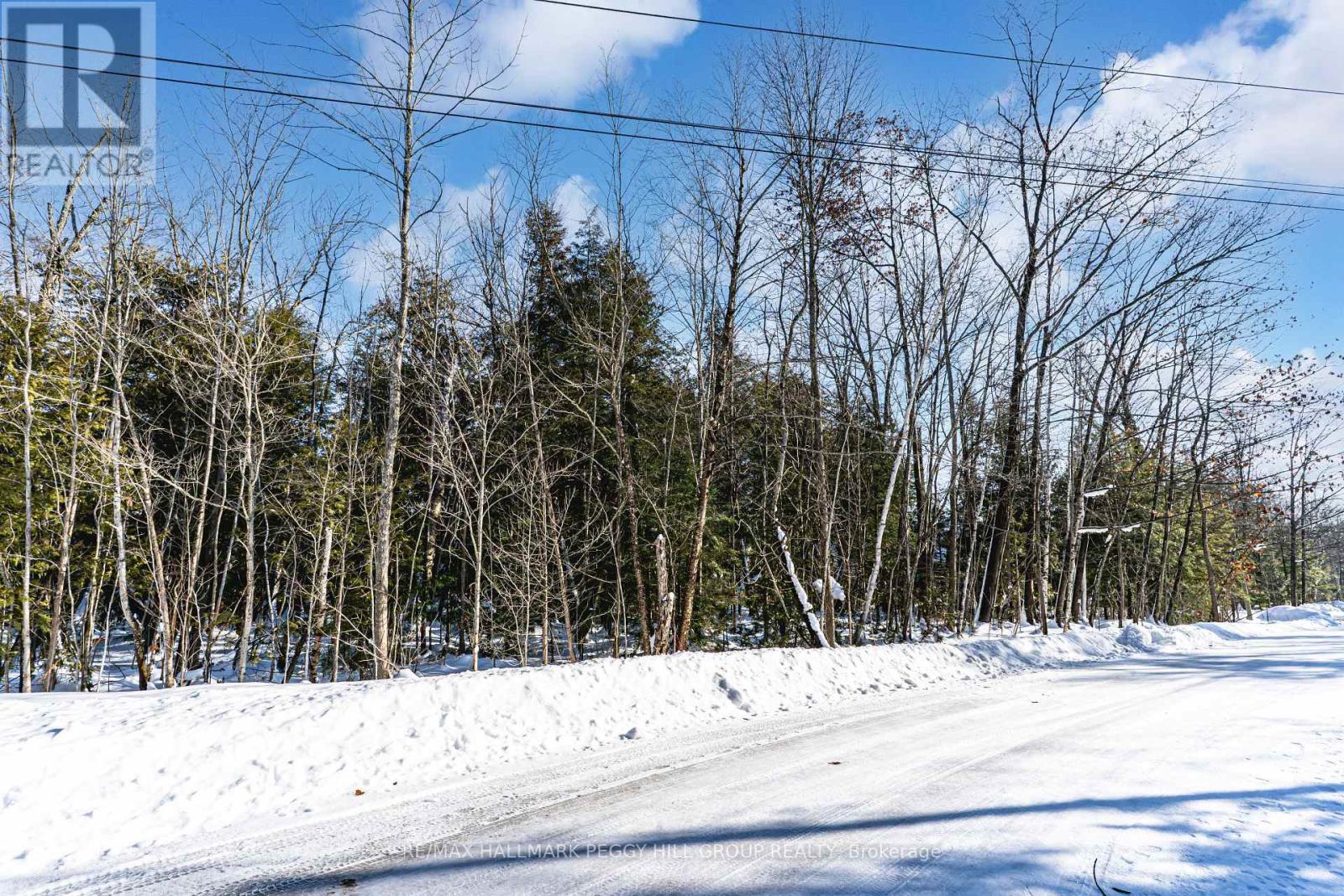 38 Lasalle Trail, Tiny, Ontario  L9M 0G3 - Photo 4 - S12779264