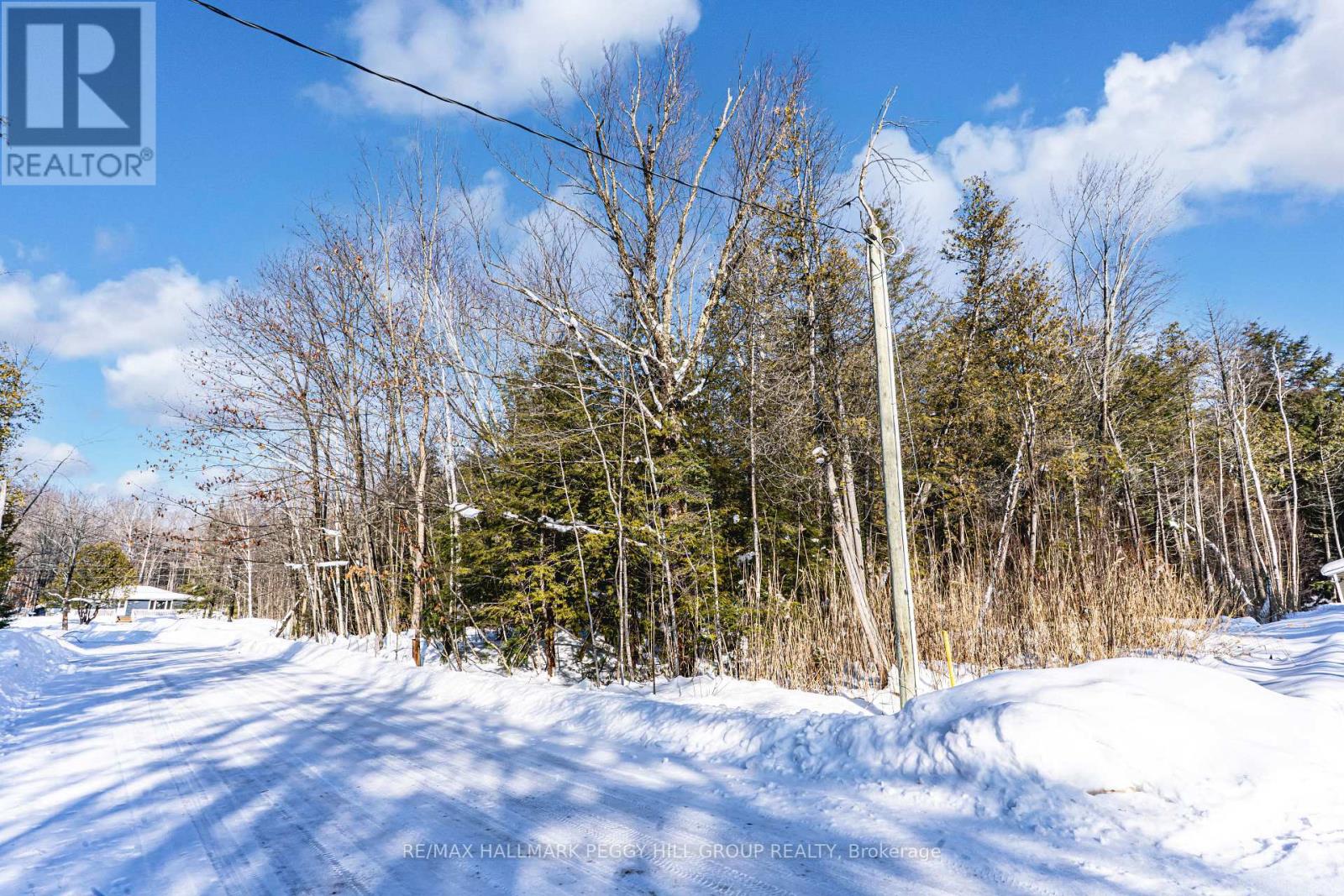 38 Lasalle Trail, Tiny, Ontario  L9M 0G3 - Photo 5 - S12779264