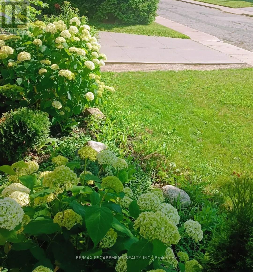 5 West 3rd Street, Hamilton, Ontario  L9C 3J5 - Photo 29 - X12882012