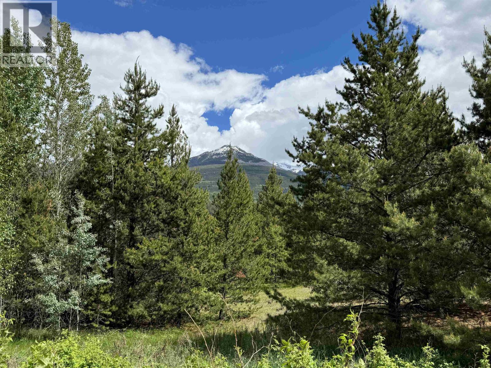 Valemount Vacant Land for sale:    (Listed 2026-03-23)