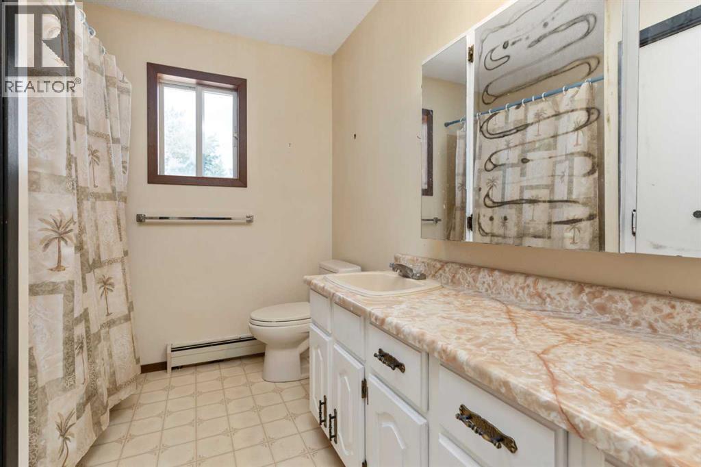 119 3rd Avenue W, Alliance, Alberta  T0B 0A0 - Photo 28 - A2230246