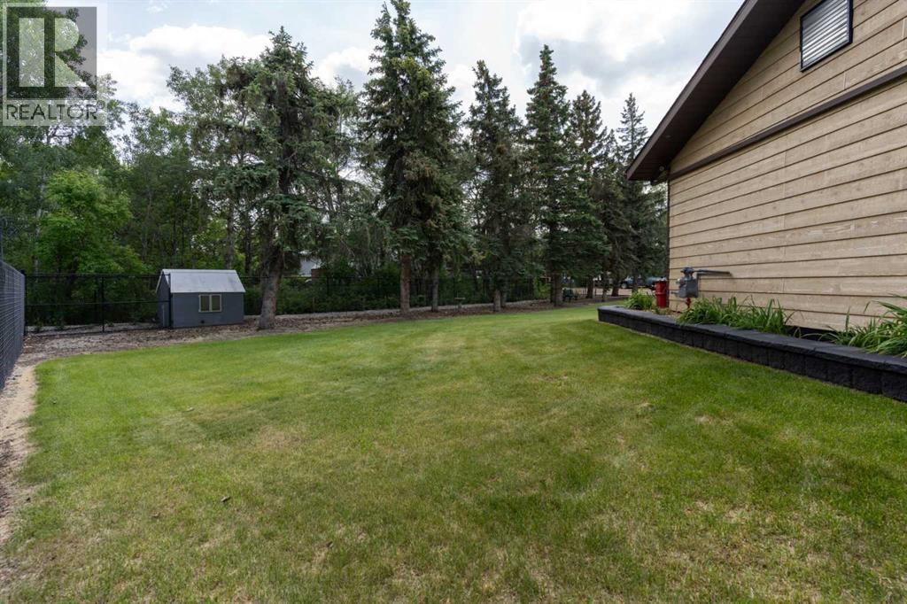 119 3rd Avenue W, Alliance, Alberta  T0B 0A0 - Photo 40 - A2230246