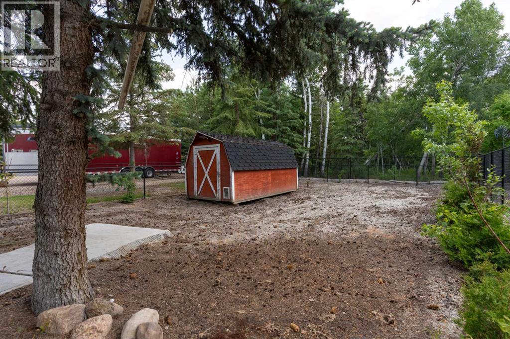 119 3rd Avenue W, Alliance, Alberta  T0B 0A0 - Photo 36 - A2230246