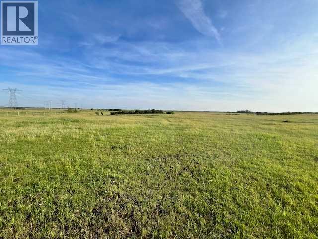 37232 Rr135, Rural Paintearth No. 18, Alberta  T0B 0X0 - Photo 3 - A2233581