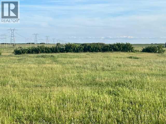 37232 Rr135, Rural Paintearth No. 18, Alberta  T0B 0X0 - Photo 7 - A2233581