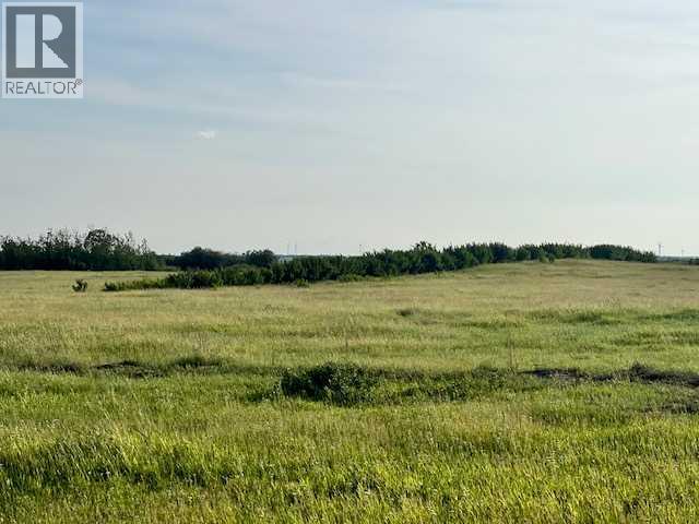 37232 Rr135, Rural Paintearth No. 18, Alberta  T0B 0X0 - Photo 4 - A2233581